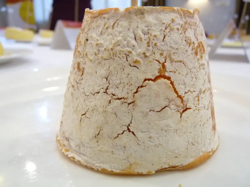 ¿Por qué se forman grietas en los quesos y cómo evitarlo? - Cómo se conserva el queso reggianito grietas en quesos - Cómo se conserva el queso reggianito