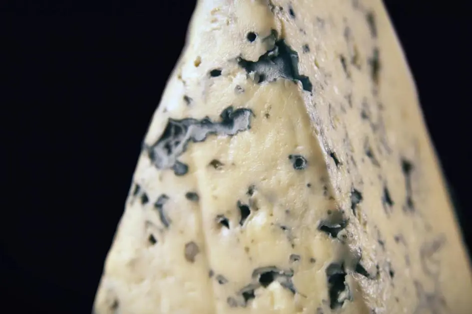 El exquisito queso Saint Agur: una delicia azul de origen francés - Cómo se llama el queso azul en Francia queso saint agur - Cómo se llama el queso azul en Francia