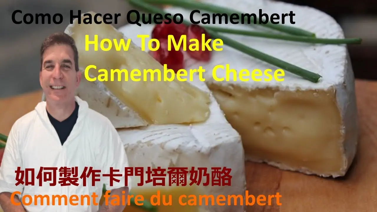 como hacer queso camembert - Cómo se madura el queso camembert