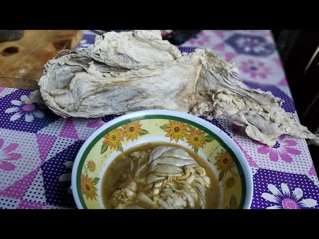 De dónde se obtiene el cuajo para hacer queso - Cómo se obtiene el cuajo de origen microbiano de donde sacan el cuajo para hacer queso - Cómo se obtiene el cuajo de origen microbiano