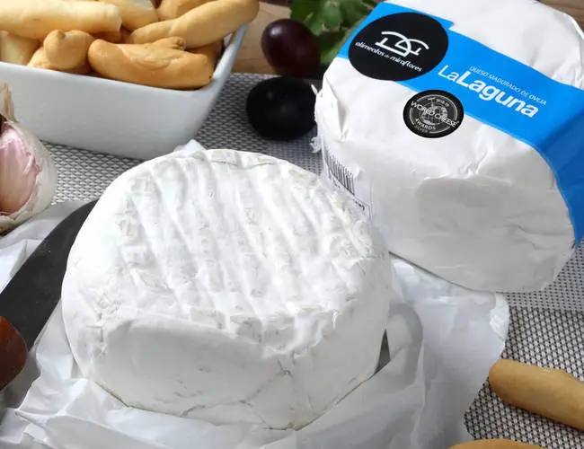 Cómo hacer queso de oveja en casa - Cómo se obtiene el queso de oveja como hacer queso de oveja en casa - Cómo se obtiene el queso de oveja