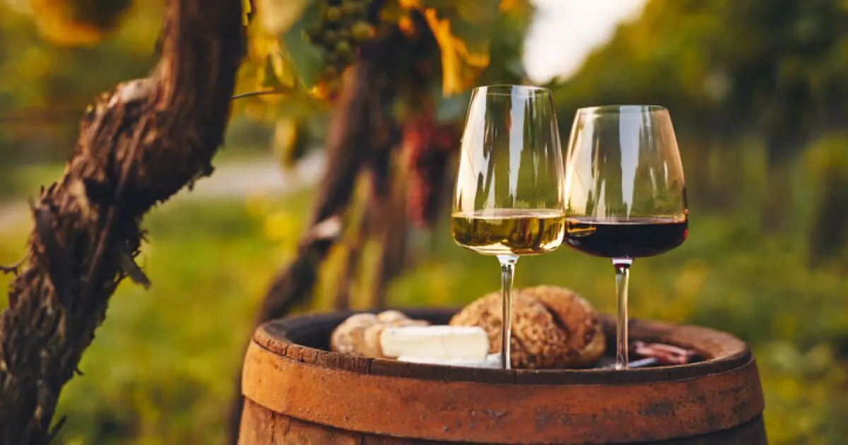 Cómo hacer un maridaje de vinos y quesos - Cómo se realiza el maridaje de vinos como hacer un maridaje de vinos y quesos - Cómo se realiza el maridaje de vinos