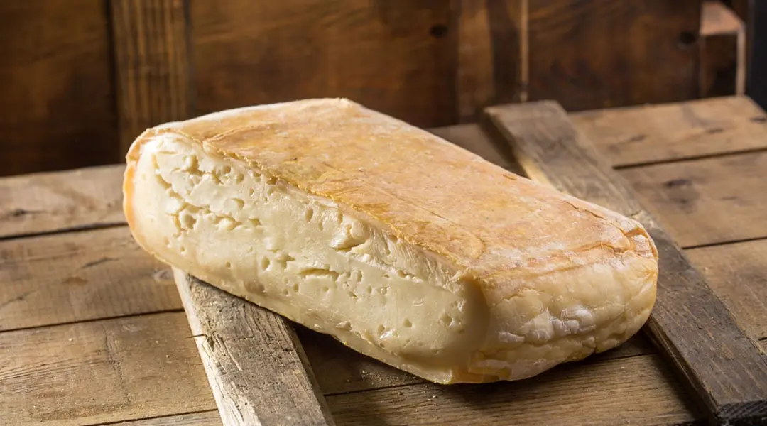 limite de e coli en quesos de pasta blanda - Cuál es el límite de mohos y levaduras en alimentos