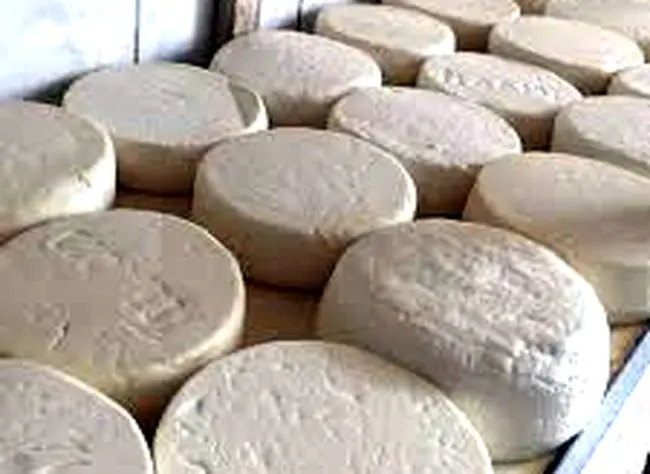 quesos de cabra en chile - Cuál es el mejor queso de cabra en Chile