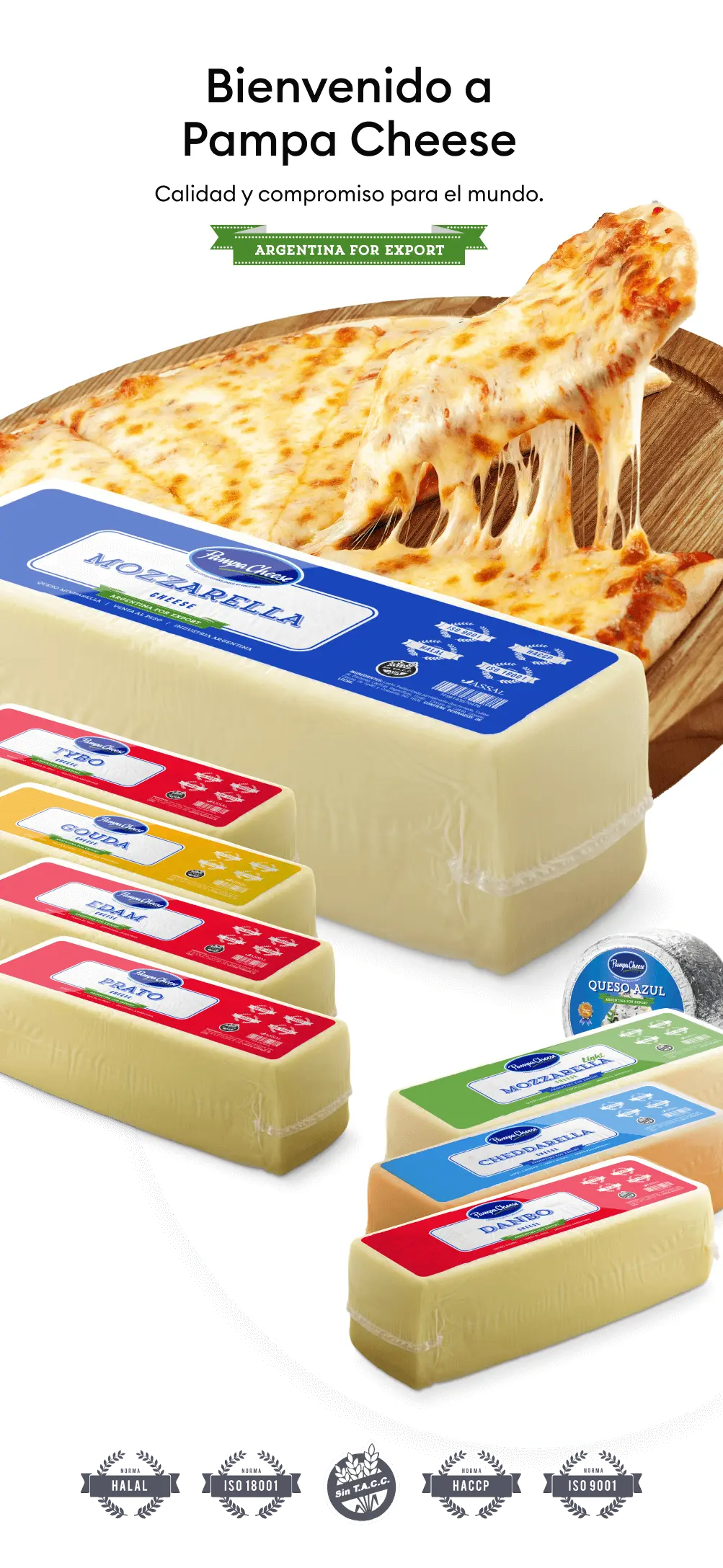 Quesos argentinos: una delicia para los amantes del queso - Cuál es el queso más consumido en Argentina quesos argentinos - Cuál es el queso más consumido en Argentina
