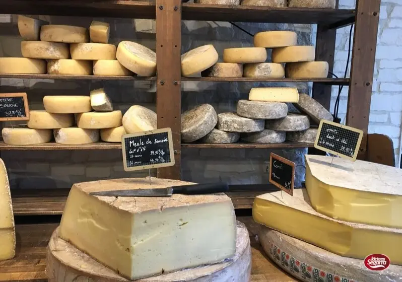 tipos de queso - Cuál es la clasificación de los quesos