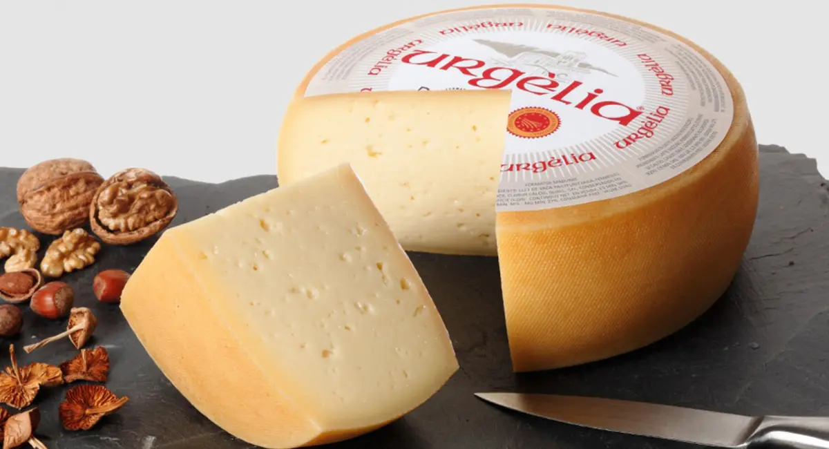 Quesos de Cataluña de Denominación de Origen: Una Deliciosa Tradición - Cuántas denominaciones de origen hay en Catalunya quesos de cataluña de denominacion de origen - Cuántas denominaciones de origen hay en Catalunya
