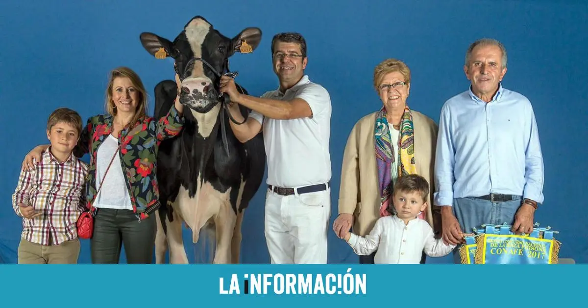 queso central lechera asturiana - Cuántas vacas tiene Central Lechera Asturiana