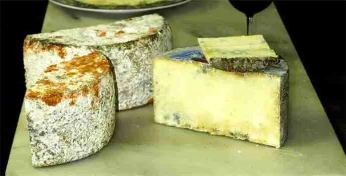 Cuánto cuesta el queso más caro de España - Cuánto cuesta el queso más caro de España queso mas caro de españa - Cuánto cuesta el queso más caro de España
