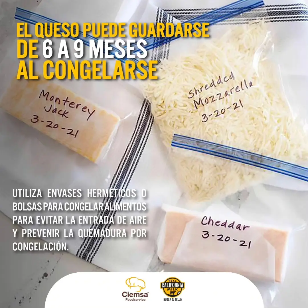 Congelar queso mozzarella: ¿Cuánto tiempo se puede congelar? - Cuánto tiempo se puede freezar muzzarella congelar queso mozzarella - Cuánto tiempo se puede freezar muzzarella