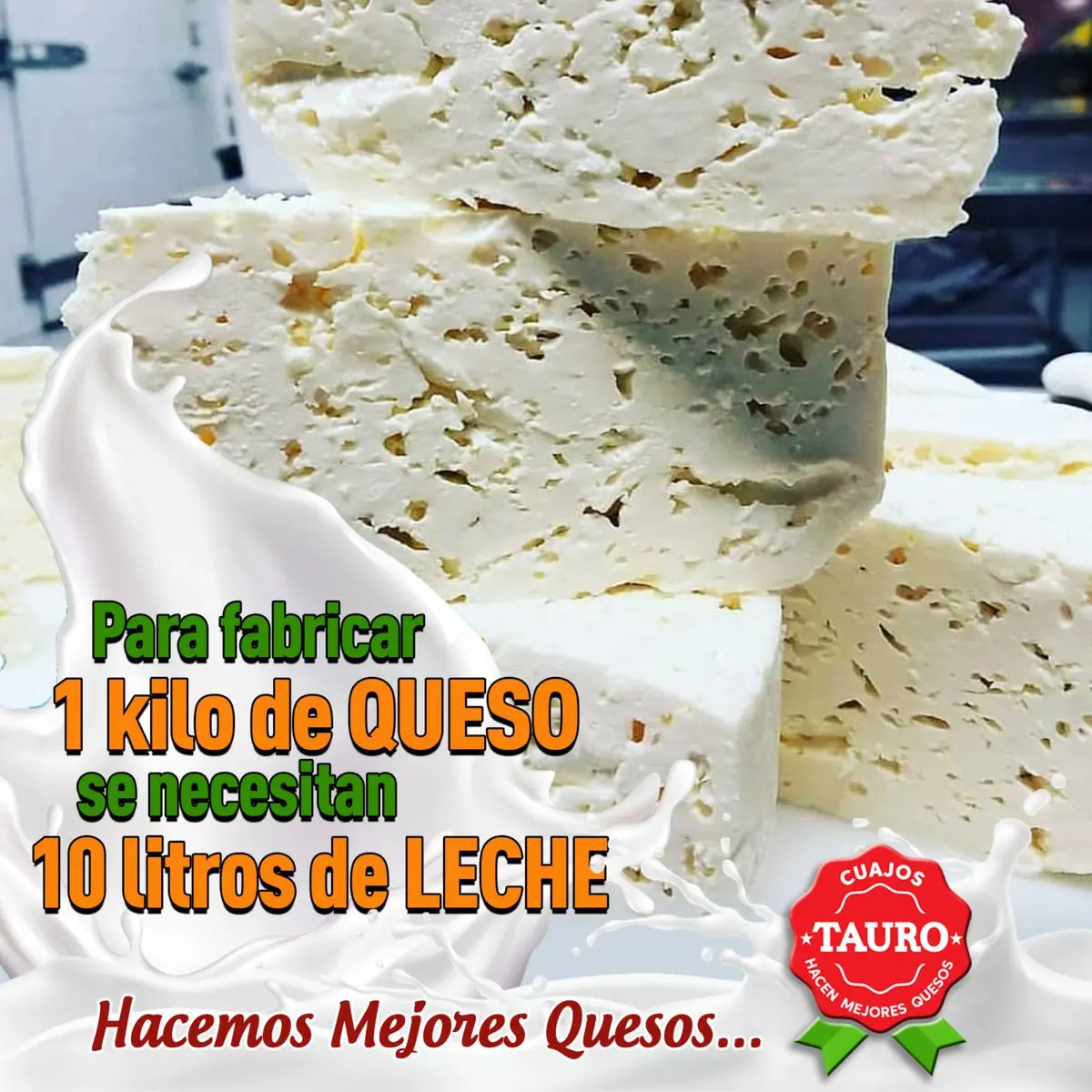 Cuánta leche necesito para hacer un kilo de queso - Cuántos kilos de queso salen de 1000 litros de leche cuanta leche necesito para hacer un kilo de queso - Cuántos kilos de queso salen de 1000 litros de leche