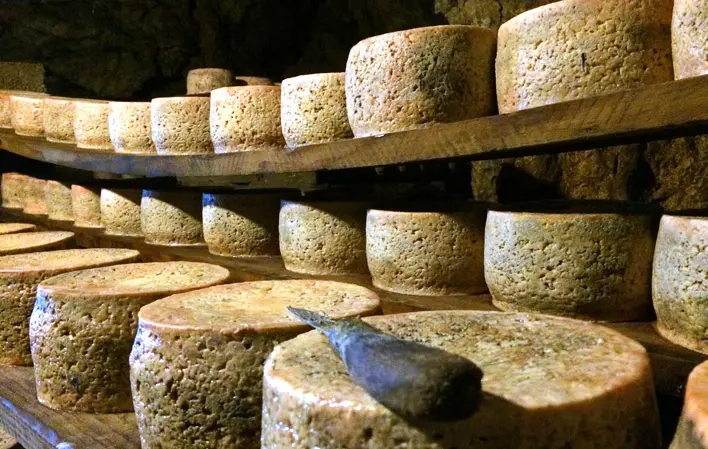 Visita a la quesería Cabrales: una experiencia enriquecedora - Dónde ver cabras en Asturias visita quesería cabrales - Dónde ver cabras en Asturias