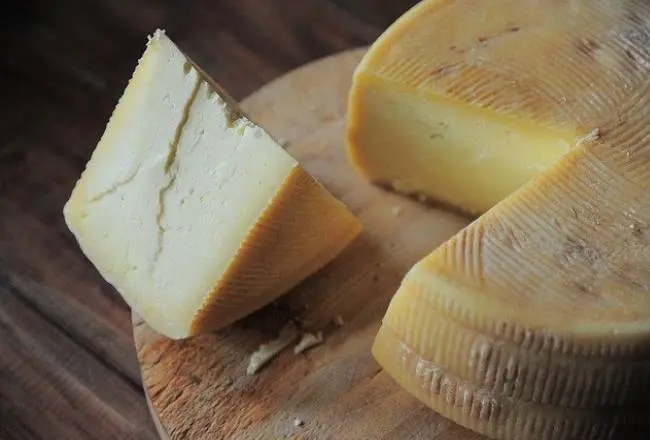 Propiedades del queso: beneficios para la salud - Qué alimenta más la leche o el queso propiedades del queso - Qué alimenta más la leche o el queso