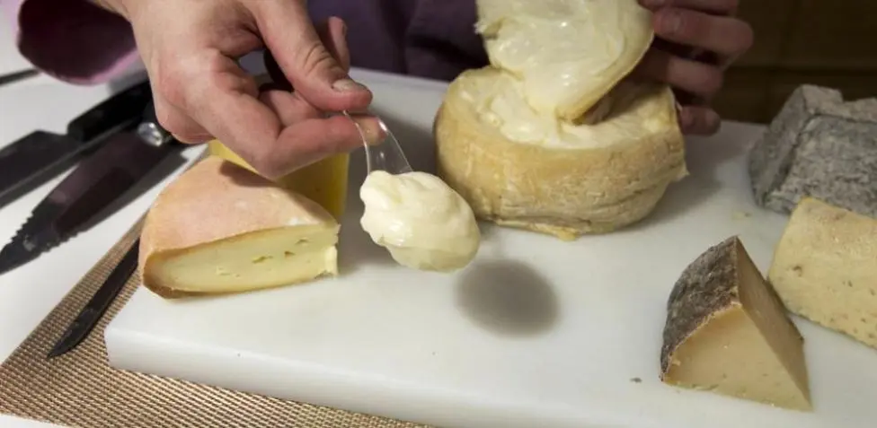 el queso da colesterol - Qué alimentos son los que suben el colesterol