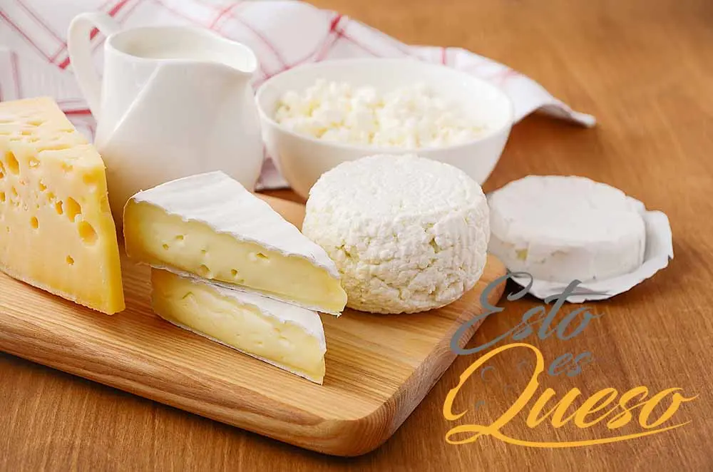 Queso mantecoso: suavidad y cremosidad en cada bocado - Qué es el queso cremoso en España queso mantecoso - Qué es el queso cremoso en España
