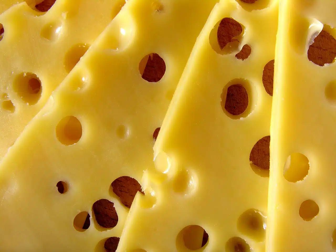 Definición de queso - Qué es el queso según la OMS definicion de queso - Qué es el queso según la OMS