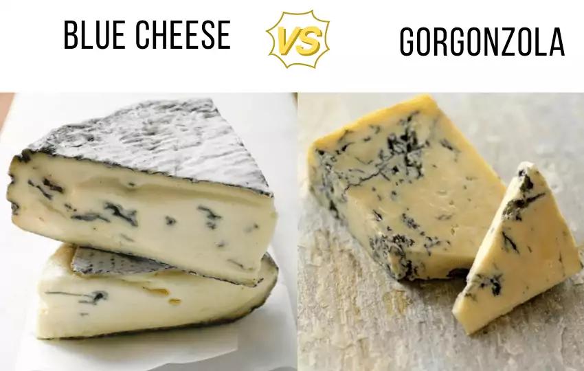 Diferencia entre queso gorgonzola y roquefort - Qué es más fuerte Roquefort o gorgonzola diferencia entre queso gorgonzola y roquefort - Qué es más fuerte Roquefort o gorgonzola