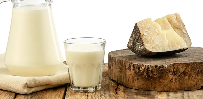 yogures y quesos - Qué es mejor un vaso de leche o un yogur