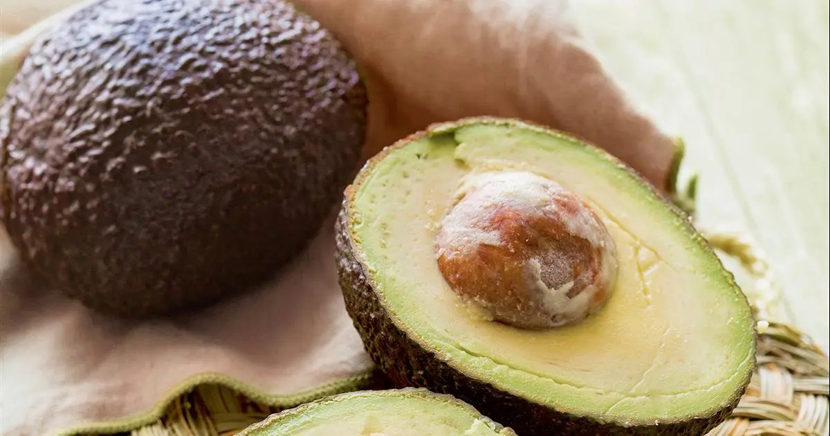 Aguacate con queso: una combinación perfecta - Qué es un aguacate y cómo se come aguacate con queso - Qué es un aguacate y cómo se come