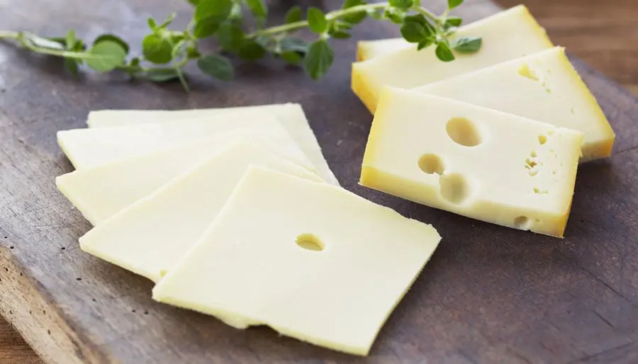 Qué es un inóculo o cultivo starter - Qué es un inóculo o cultivo starter cultivos estarter quesos - Qué es un inóculo o cultivo starter