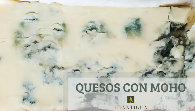 ¿Cuáles son los mohos que se añaden a los quesos? - Qué hongo se utiliza en la elaboración del queso cuales son los mohos que se añaden a los quesos - Qué hongo se utiliza en la elaboración del queso