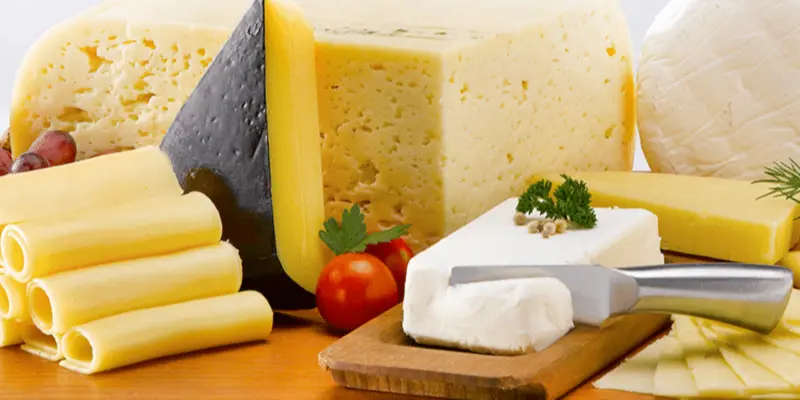 Aerobios Psicrotrofos en Quesos: ¿Qué son y cómo afectan la calidad? - Qué indican los aerobios mesófilos en alimentos aerobios psicrotrofos quesos - Qué indican los aerobios mesófilos en alimentos
