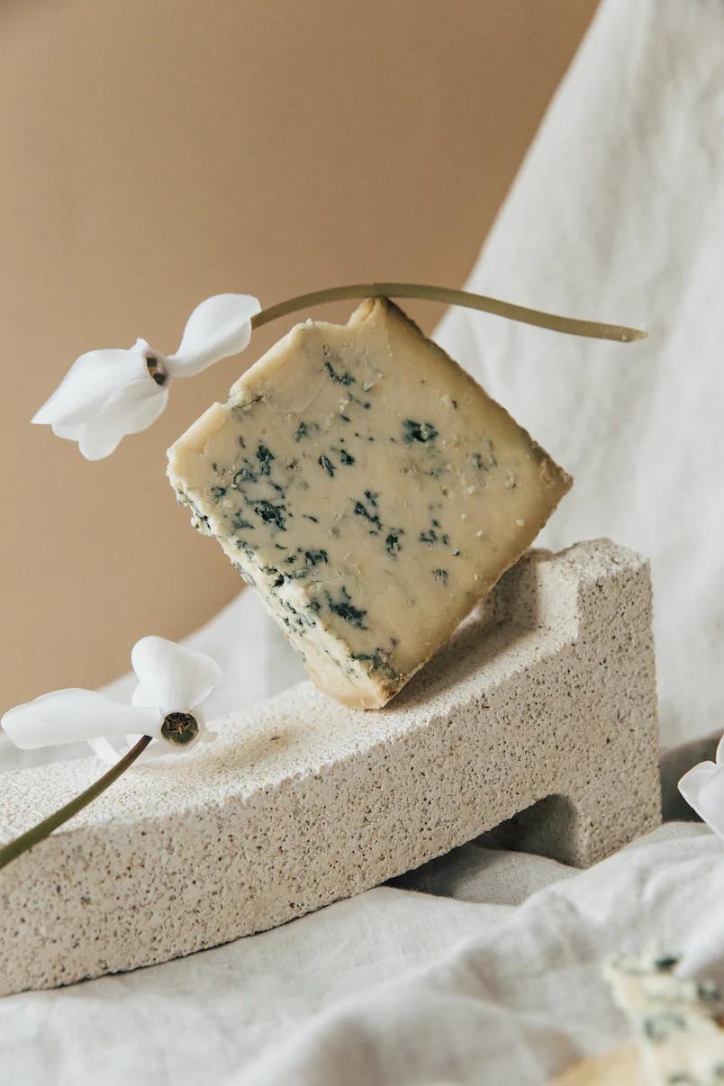 levaduras en quesos - Qué levaduras fermentan la lactosa y provocan alteraciones en la elaboración del queso