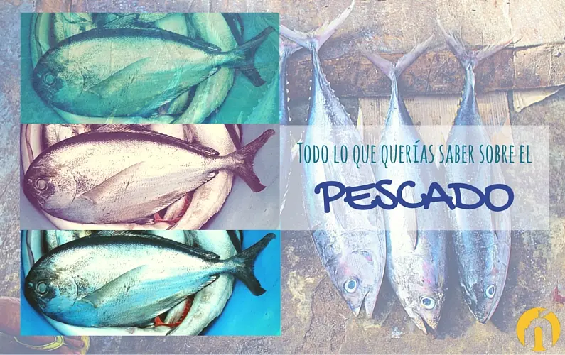 alimento lactancia materna quesos pescado crudo - Qué pasa si como pescado crudo y estoy amamantando
