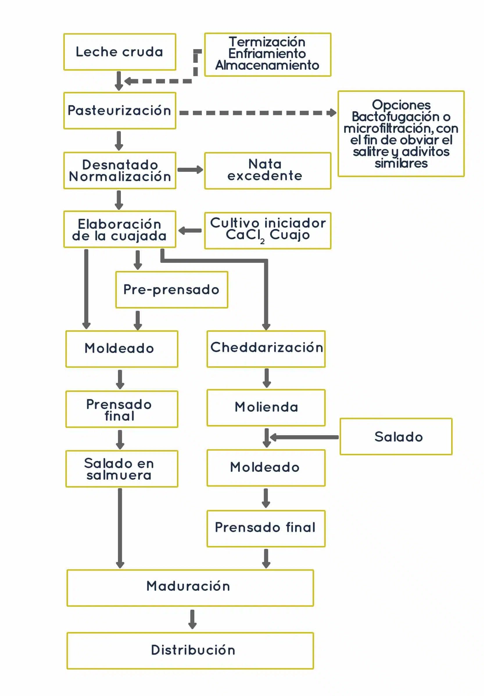 Cual es la materia prima del queso - Qué recursos naturales se utilizan para elaborar el queso cual es la materia prima del queso - Qué recursos naturales se utilizan para elaborar el queso
