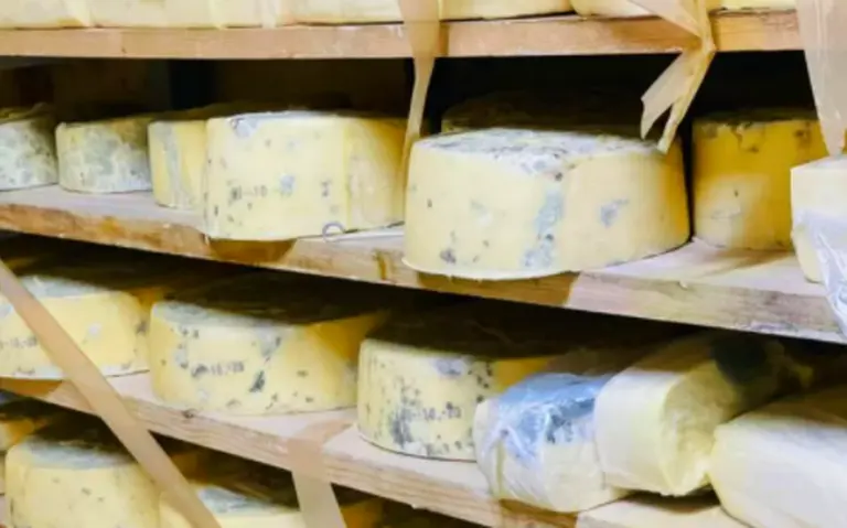 Contaminación en el almacenamiento de los quesos: cómo prevenirla - Qué residuos genera el queso contaminacion en el almacenamiento en los quesos - Qué residuos genera el queso