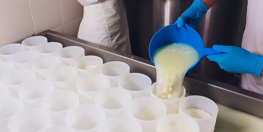 Cuajado de queso: una etapa esencial en la elaboración de productos lácteos - Qué se usa para cuajar el queso cuajado de queso - Qué se usa para cuajar el queso