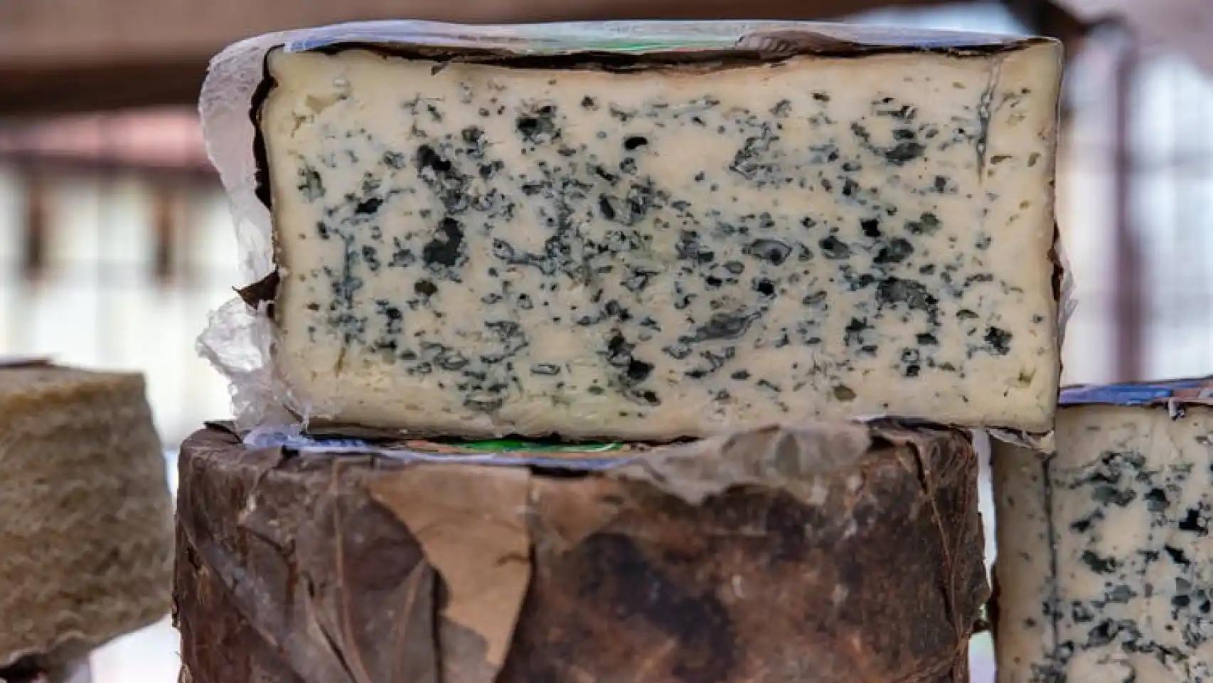 Manchas de colores en quesos madurados - Qué son las manchas del queso azul manchas de colores en quesos madurados - Qué son las manchas del queso azul