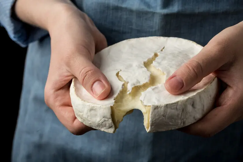 Queso brie: ¿fuerte o suave? - Qué textura tiene el queso Brie queso brie es fuerte o suave - Qué textura tiene el queso Brie